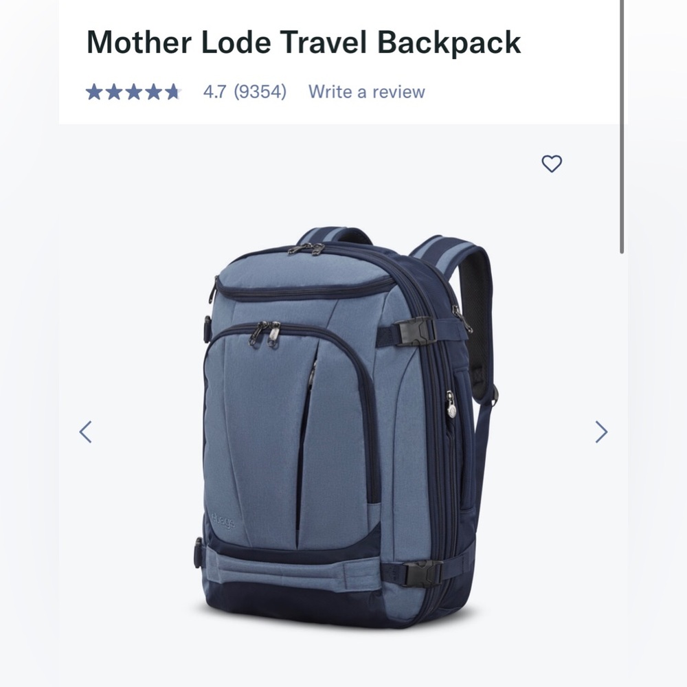 ebags the Motherlode Travel backpack